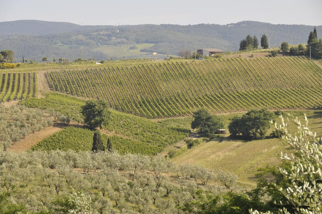 Agriturismo Renai E Monte II غامباسي تيرمي المظهر الخارجي الصورة